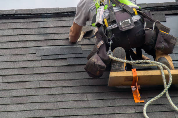 Best Local Roofing Companies  in Suncoast Estates, FL
