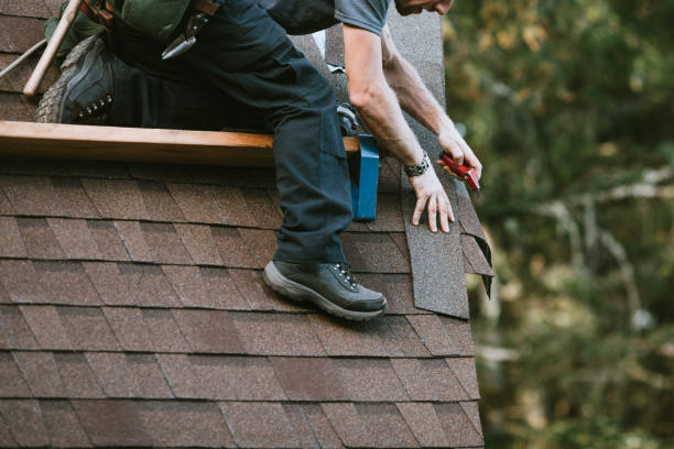 Best Roof Repair Services  in Suncoast Estates, FL